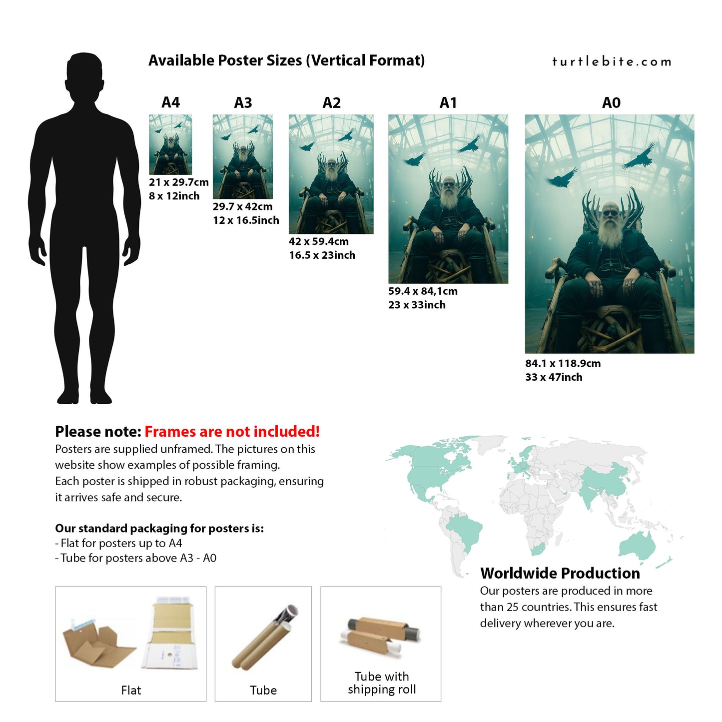 Viking Wall Art - Dark Norse Warrior King Poster Print