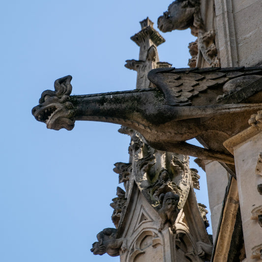 The Dragon of La Gargouille: Rouen's Most Famous Stone Monster (And Why It's Cooler Than Your Average Gargoyle)