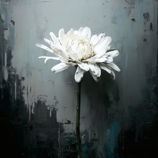 White flower emerging from dark moody background minimalist botanical art print