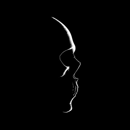 Skull T-Shirt - Gothic Silhouette Design, Dark Art Tee