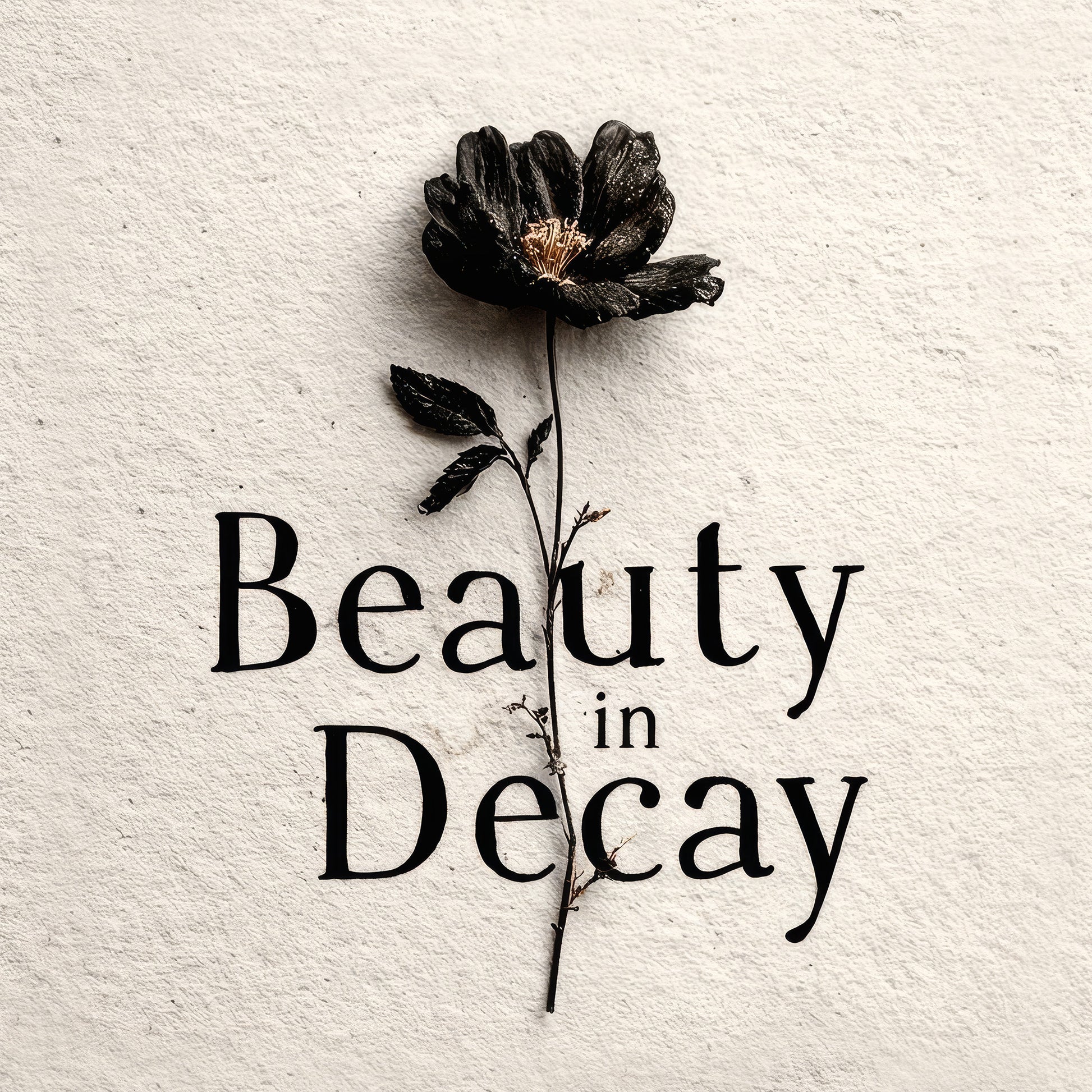 Memento mori gothic art print featuring blackened dried flower with Beauty in Decay typography on textured background