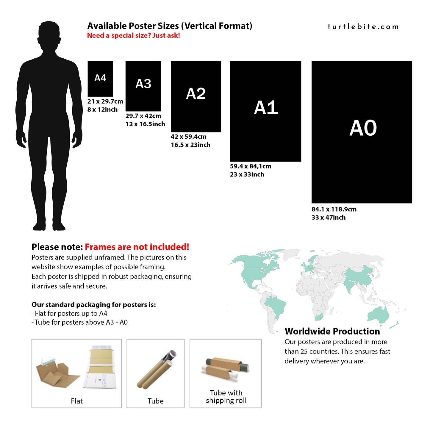 Poster size chart with a silhouette of a person and world map, sourced from turtlebite.com.